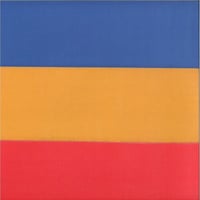 デュヴァル・ティモシー  Duval Timothy / Brown Loop  新品輸入レコード