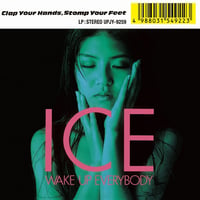 ICE / WAKE UP EVERYBODY 新品レコード