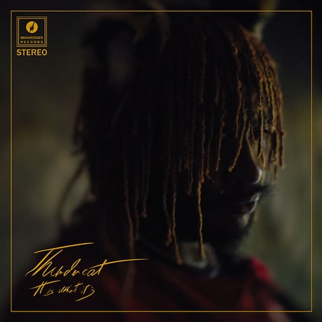 Thundercat - It Is What It Is (Clear Vinyl / Gatefold Sleeve)