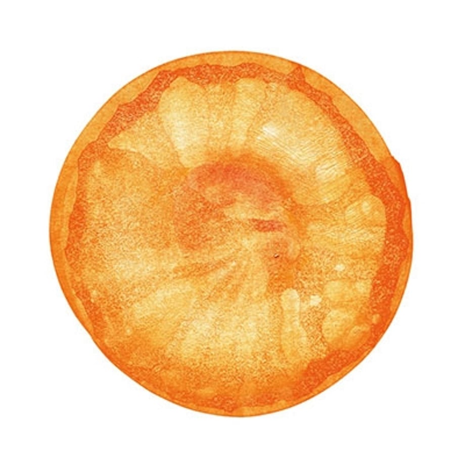 65c844298fd8871931cc4f45