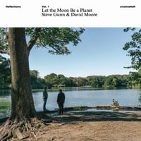 スティーヴ・ガン & デヴィッド・ムーア / Let the Moon Be a Planet   新品輸入レコード