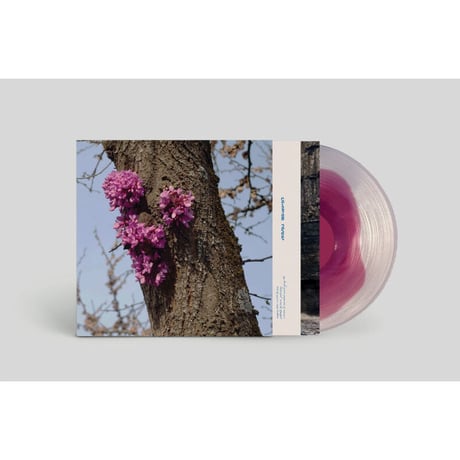 デュヴァル・ティモシー Duval Timothy / Meeting with a Judas Tree  新品輸入レコード