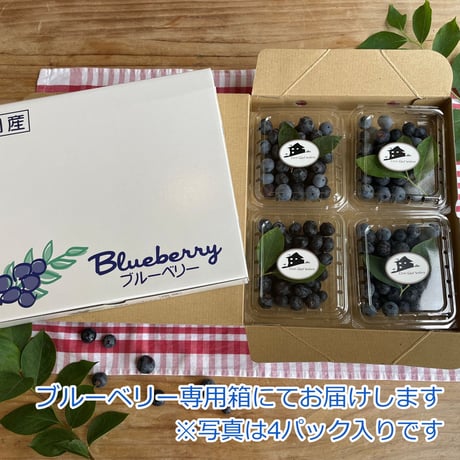 ブルーベリー（生果）6パック