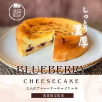 【2026春のギフト】しっとり濃厚！ブルーベリー園のブルーベリーチーズケーキ