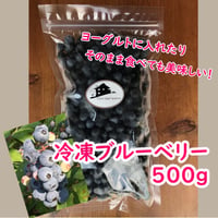 冷凍ブルーベリー