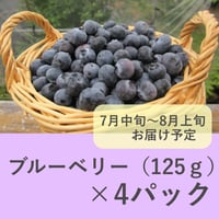 ブルーベリー（生果）4パック