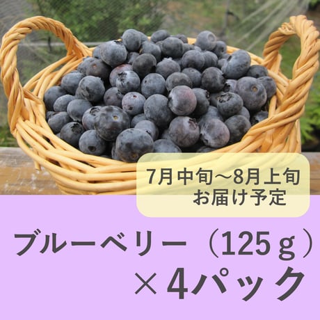 ブルーベリー（生果）4パック