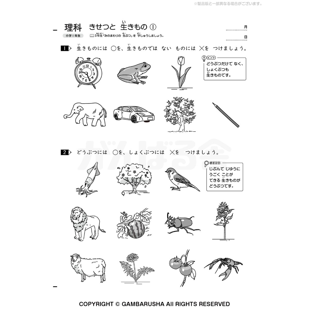 小学1年生はじめよう理科社会（1年間分） | がんばる舎 ONLINE SHOP