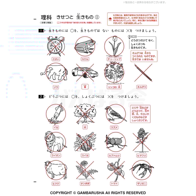 小学1年生はじめよう理科社会（1年間分） | がんばる舎 ONLINE SHOP