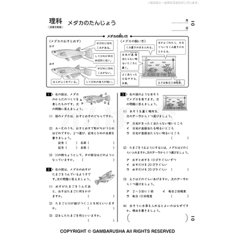 小学5年生理科（1年間分）