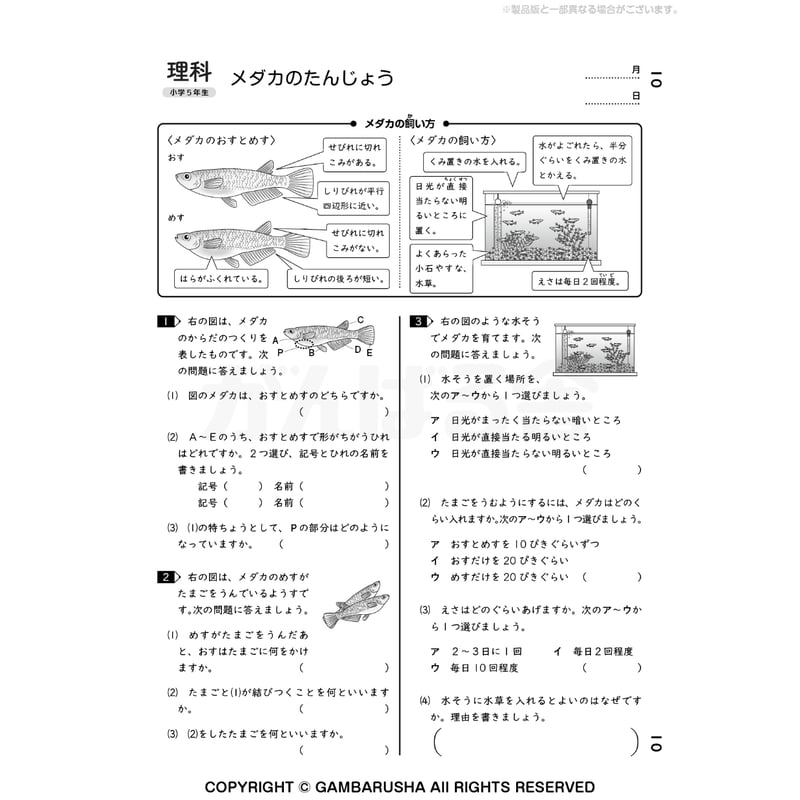 小学5年生理科（1年間分） | がんばる舎 ONLINE SHOP