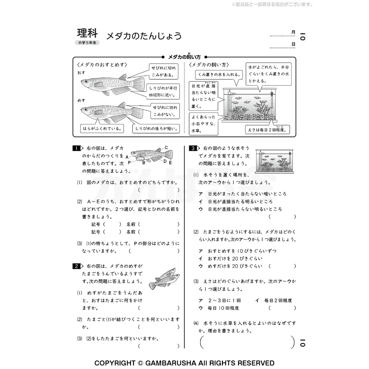 小4小5 算数理科社会 小4小5 算数理科社会 考えて解く」力がつく 理科・社会 小学