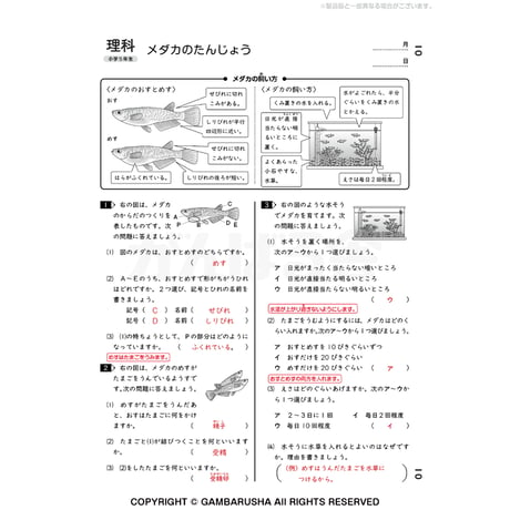 小学5年生理科（1年間分）