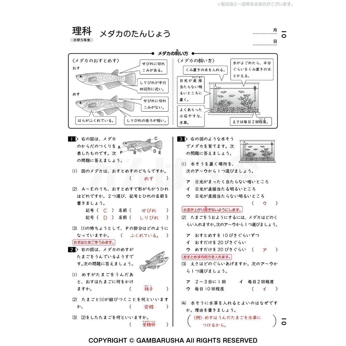 小学5年生理科（1年間分） | がんばる舎 ONLINE SHOP