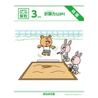 パワーアップ算数3年生・計算（1年間分）