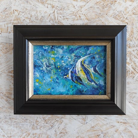 エンゼルフィッシュ | STORES