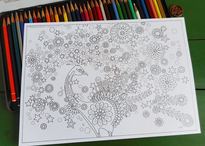 ぬりえ「クジャク」 | Tsubasa KATOU