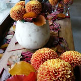 FlowerWorksSEKIKAWA