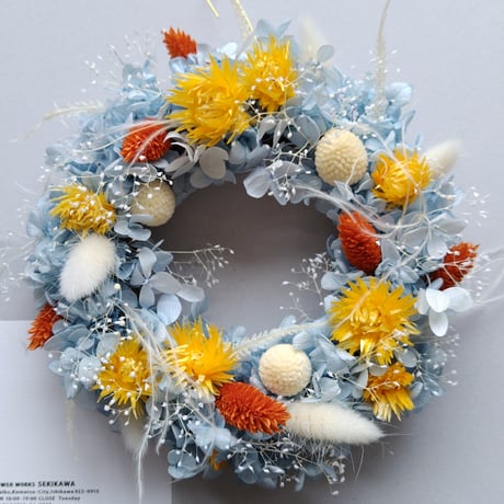 スターチス | STORES