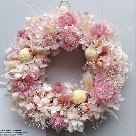 スターチス | STORES