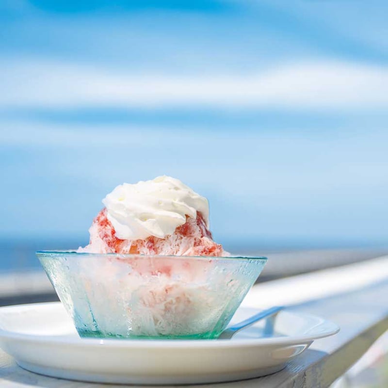 KELLY「知多半島」特集（2024年9月号） | ケリーストア