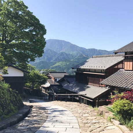 KELLY「東海の春Trip」特集（2025年5月号）