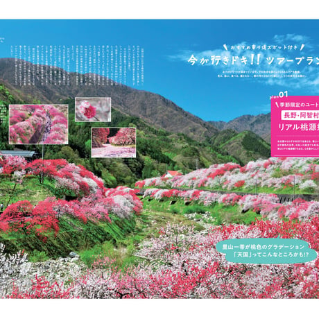 KELLY「春のおでかけ 行きたいトコ、したいコト110」特集（2023年5月号）