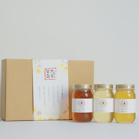 【舘養蜂場本店】 人気3種類の国産九華はちみつセット（300g×3本）