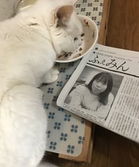 ふぇみん2022年1月15日号（3308号）