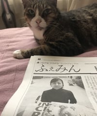 ふぇみん2022年4月25日号（3317号）