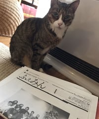 ふぇみん2022年12月15日号（3339号）