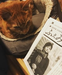 ふぇみん2020年2月25日号（3246号）