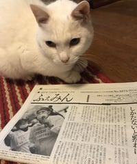 ふぇみん2021年1月15日号（3275号）