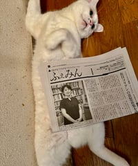 ふぇみん2024年９月15日号（3396号）