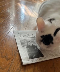 ふぇみん2024年5月5日号（3384号）