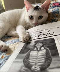 ふぇみん2024年4月25日号（3383号）