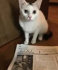 ふぇみん2022年10月15日号（3333号）