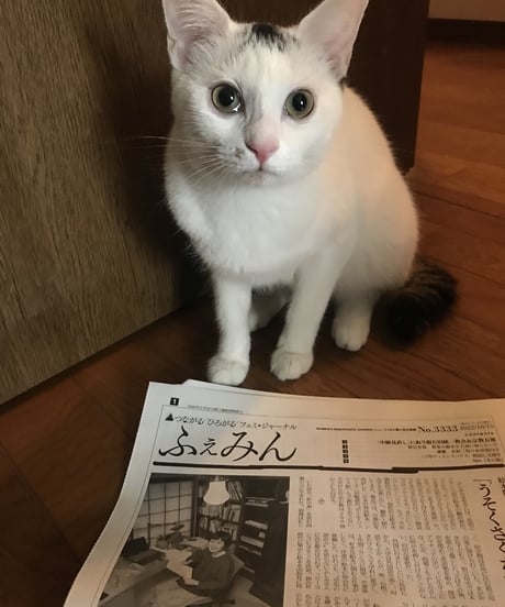 ふぇみん2022年10月15日号（3333号）
