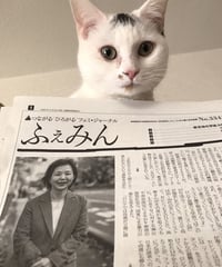 ふぇみん2023年1月15日号（3341号）