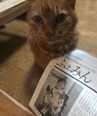 ふぇみん2021年7月25日号（3293号）