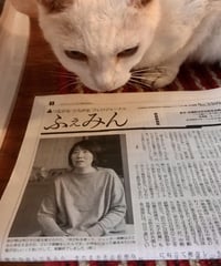 ふぇみん2022年1月25日号（3309号）