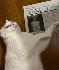 ふぇみん2024年8月5日号（3393号）