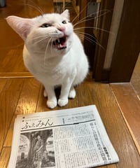 ふぇみん2025年1月15日号（3407号）