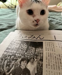 ふぇみん2024年10月5日号（3398号）
