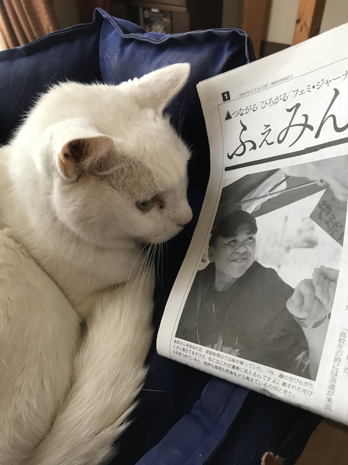 ふぇみん2021年4月25日号（3284号） | femin's STORE