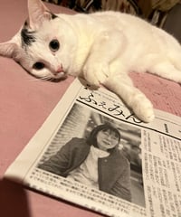 ふぇみん2025年4月15日号（3415号）