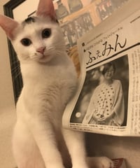 ふぇみん2022年9月25日号（3331号）