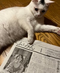 ふぇみん2024年6月25日号（3389号）