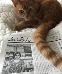 ふぇみん2020年9月5日号(3263号)