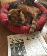 ふぇみん2020年12月5日号（3272号）